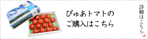 �Ԥ夢�ȥޥȤΤ������Ϥ�����