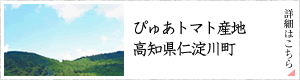 �Ԥ夢�ȥޥȻ��Ϲ��θ����������Į