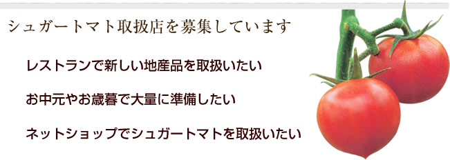 メディア掲載や取材依頼のお申し込み