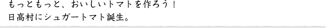 もっともっと、おいしいトマトを作ろう！
日高村にシュガートマト誕生。