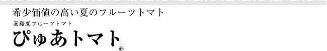 希少価値の高い夏のフルーツトマト「ぴゅあトマト」