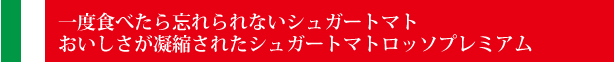 一度食べたら忘れられないシュガートマト
おいしさが凝縮されたシュガートマトロッソプレミアム