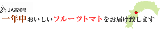 一年中おいしいフルーツトマトをお届け致します