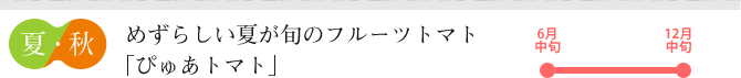 めずらしい夏が旬のフルーツトマト「ぴゅあトマト」