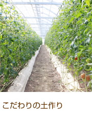 こだわりの土作り