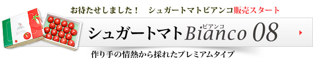 
シュガートマトのご購入はこちら