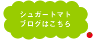 シュガートマトブログはこちら