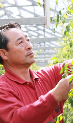 生産部会長

　壬生豊秀