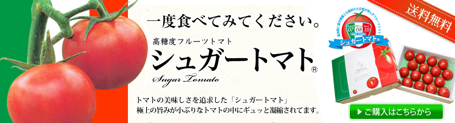 /θ¼ι٥ȥޥȥ奬ȥޥ