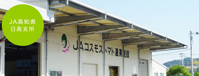 JAコスモス