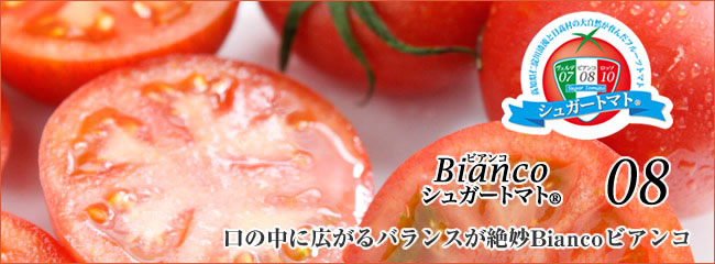 シュガートマト
ビアンコ
